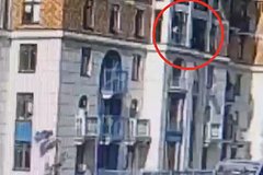 Россиянка выбросила из окна семимесячного котенка